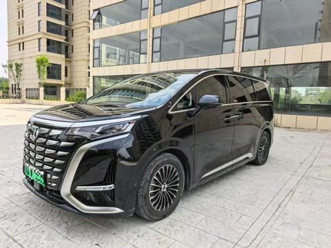 DENZA D9 DM