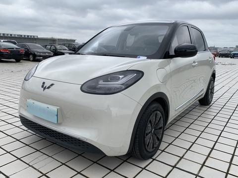 Wuling Binguo 2023 410KM Premium