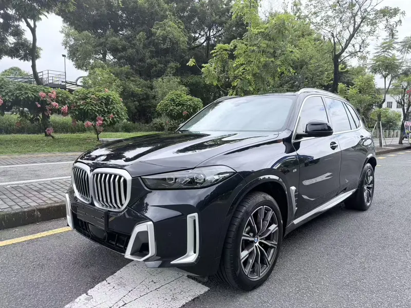 BMW X 5 x Drive 30 Li M Sport Package