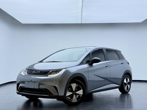 Dolphin 2024 Honor Edition 420 км Бесплатная версия