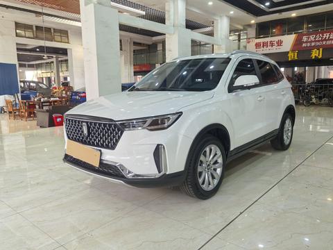 Bestune T33