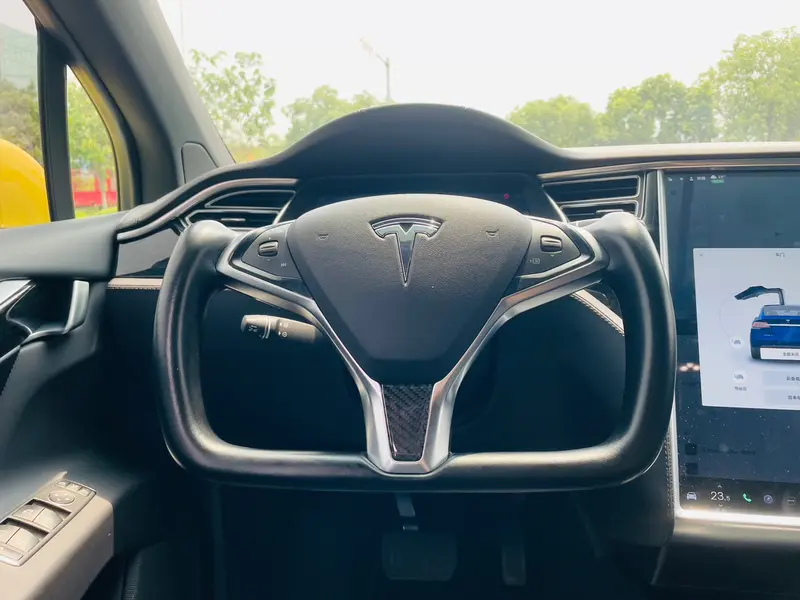 Tesla Model X 75D — фото 10