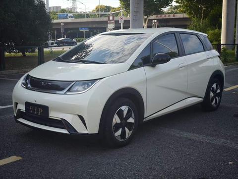 BYD Dolphin 2025 420KM Freedom