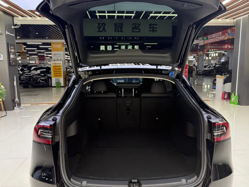 Tesla Model Y — фото 14