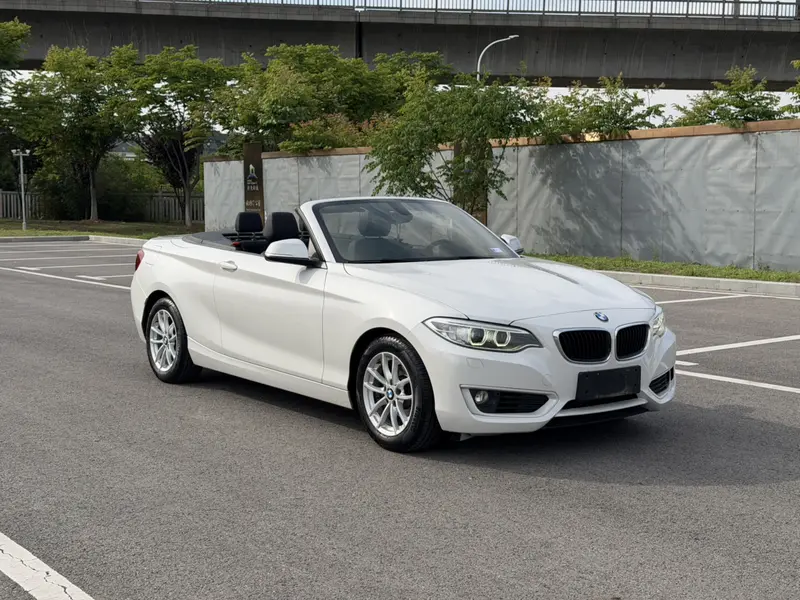 BMW 2 218i — фото 3