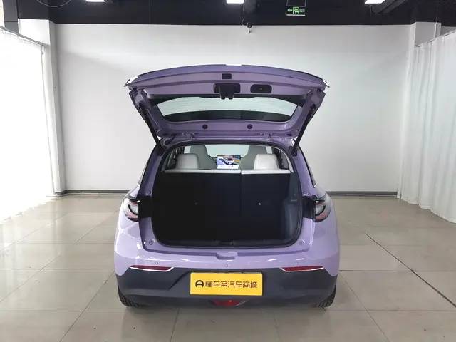 Geely Galaxy Starwish — фото 20