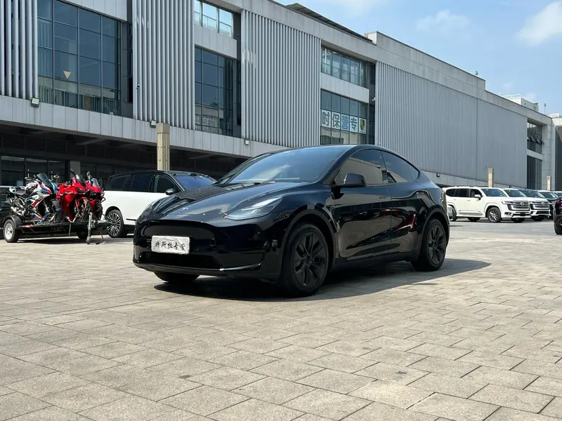 Tesla Model Y — фото 1