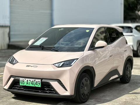 BYD Seagull