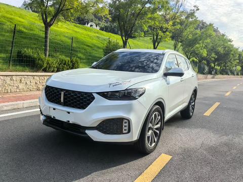 WEY VV6