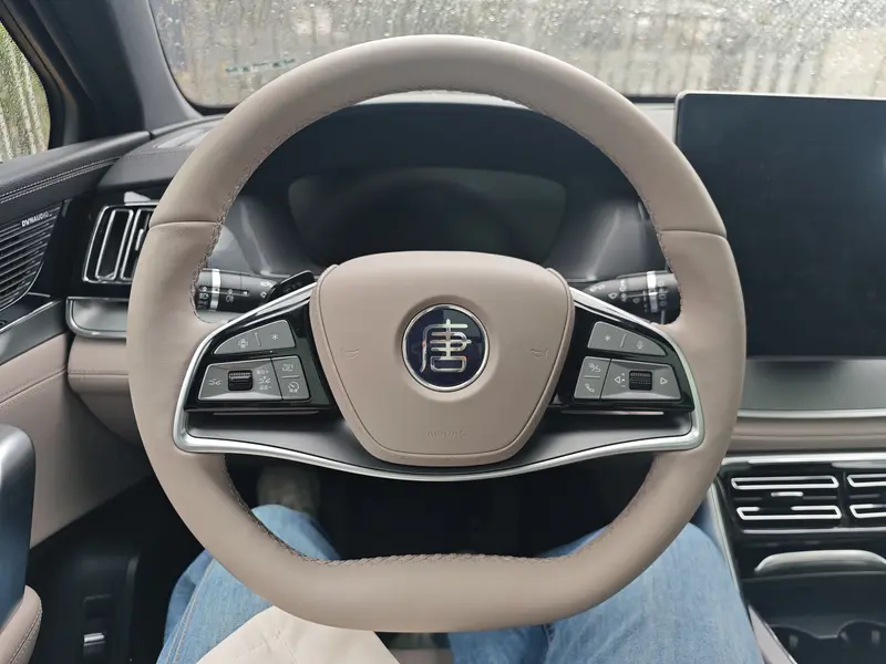 BYD Tang DM-i 115 KM Flagship — фото 6