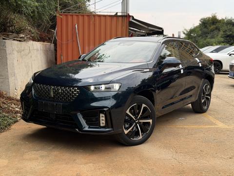 WEY VV7 GT, 2020 год