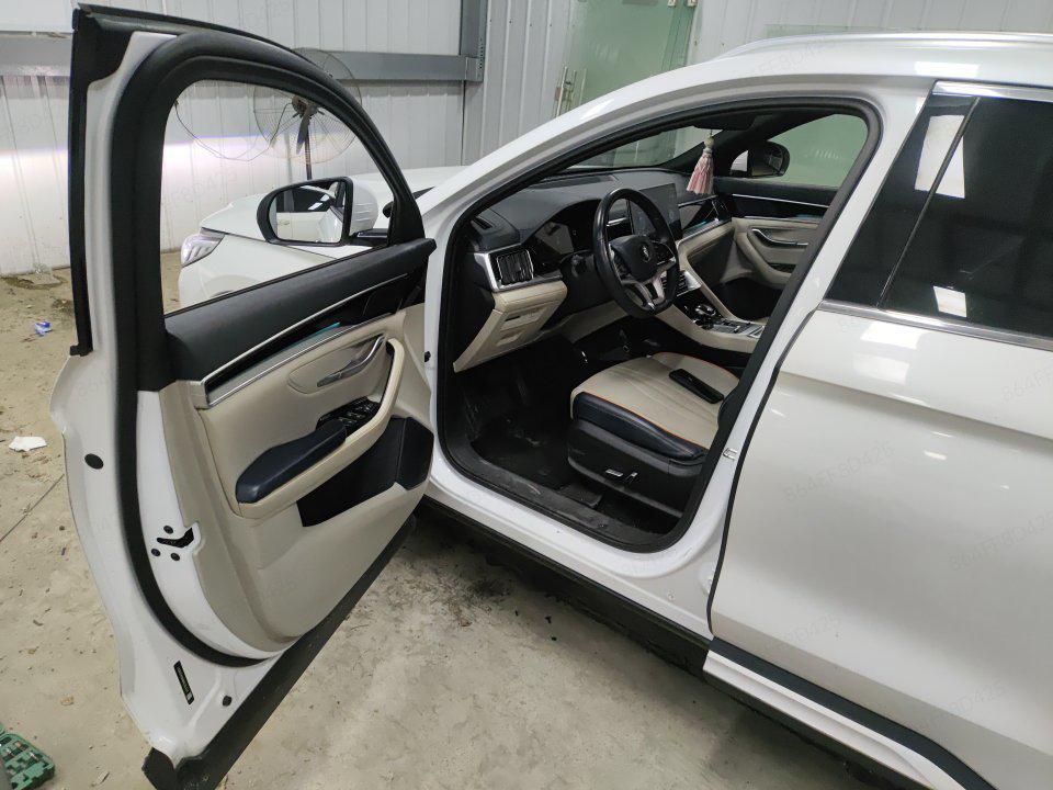 BYD Song Plus EV PLUS EV 2021 Luxury