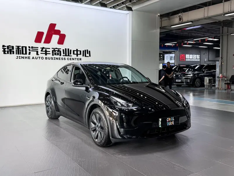 Tesla Model Y — фото 3