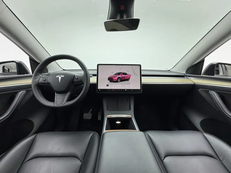Tesla Model Y — фото 14