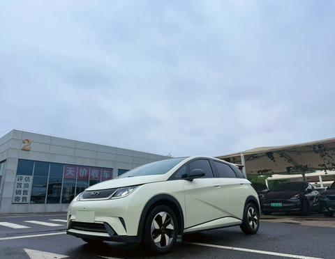 BYD Dolphin