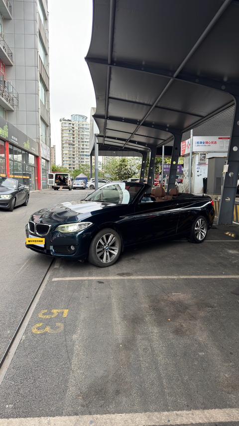 BMW 2 Series 2 ( ) 2015 220i Lead