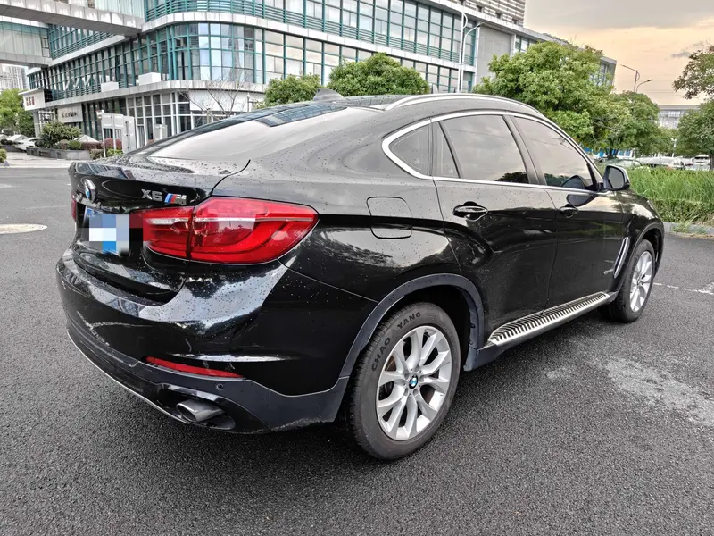 BMW X6 xDrive35i люкс — фото 6