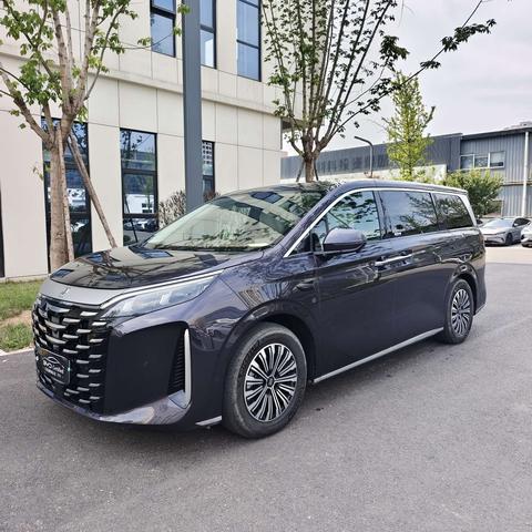 BYD Xia, 2025 год