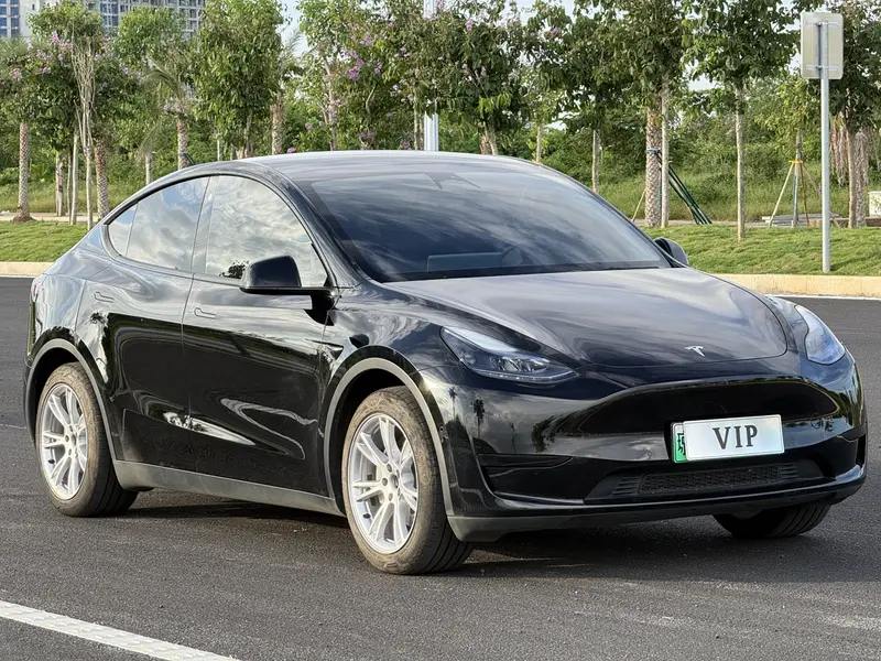 Tesla Model Y — фото 3