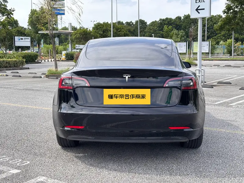 Tesla Model 3 задний привод — фото 5