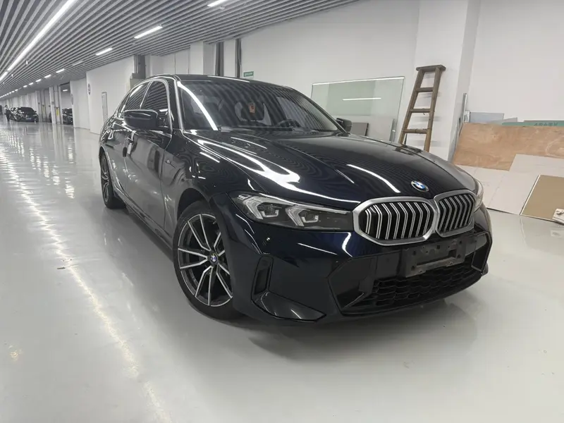 BMW 3 Series 320Li M спортпакет — фото 3