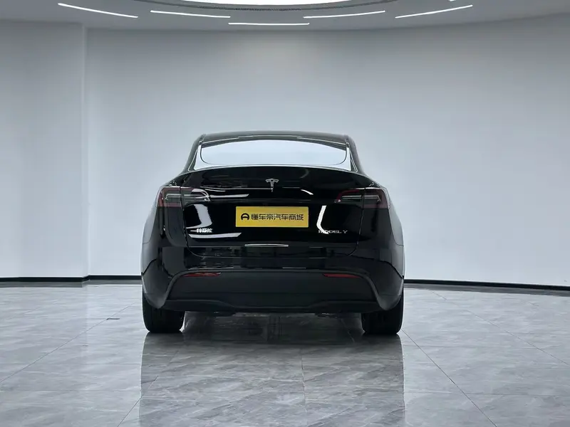 Tesla Model Y — фото 6