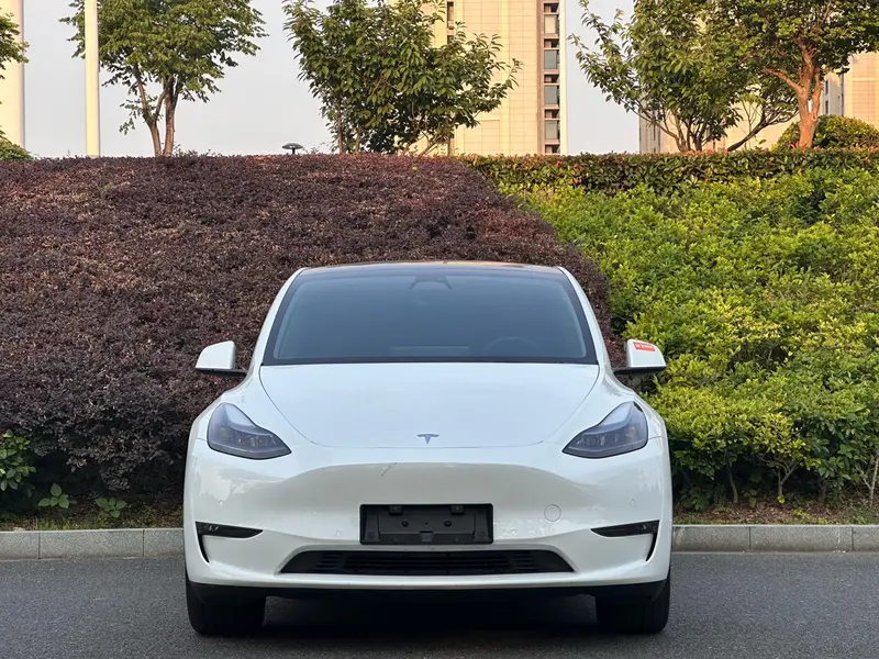 Tesla Model Y — фото 2