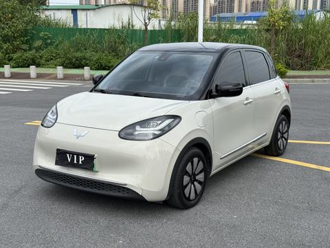 Wuling Bingo