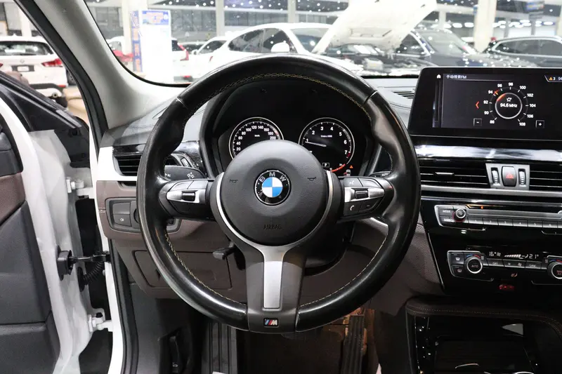 BMW X 2 s Drive 25i M — фото 9