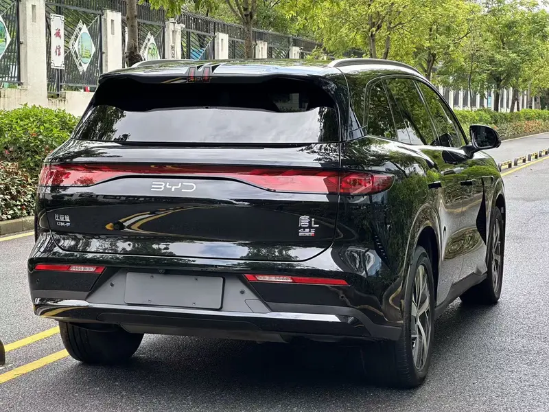 BYD L DM-p 200 KM 4 WDFlagship — фото 7
