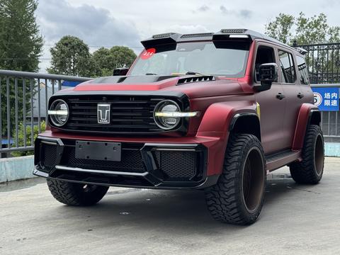 TANK 300