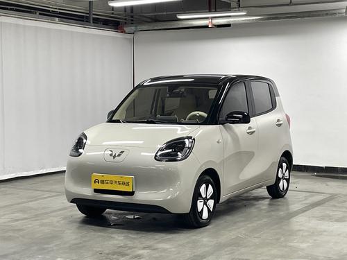 Wuling Mini EV MINIEV 2025 205km Premium