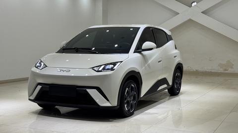 BYD Seagull, 2024 год