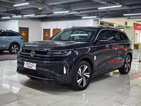 Volkswagen Tavendor, 2024 год