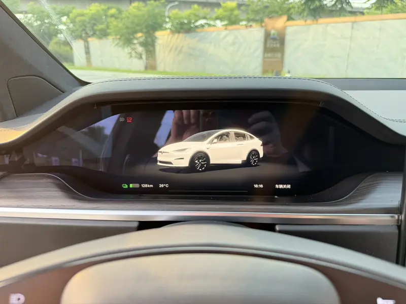 Tesla Model X — фото 12