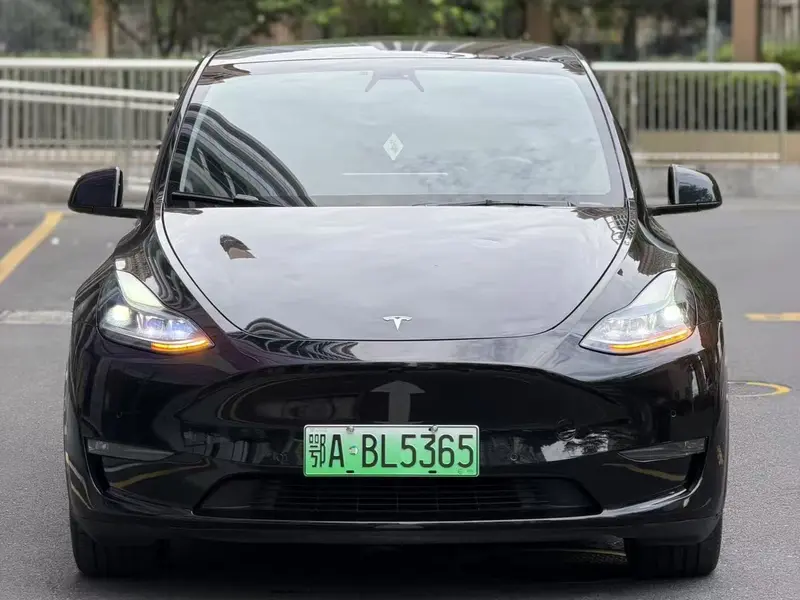 Tesla Model Y — фото 2