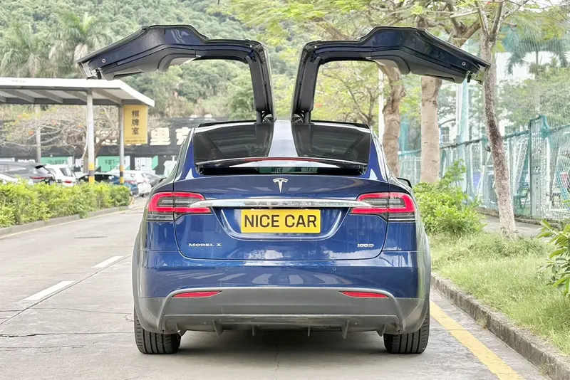 Tesla Model X — фото 6