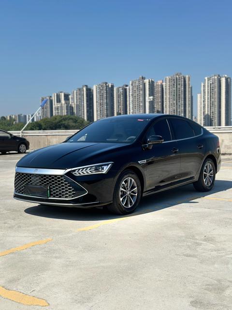 BYD Qin Plus DM-i PLUS DM 2024 DM-i 55KM Lead