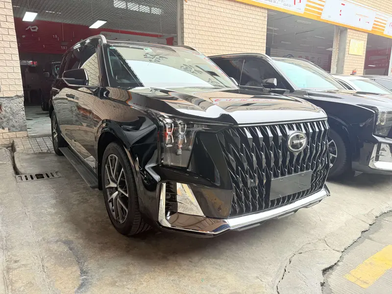 Trumpchi GACTrumpchi GS8 — фото 3