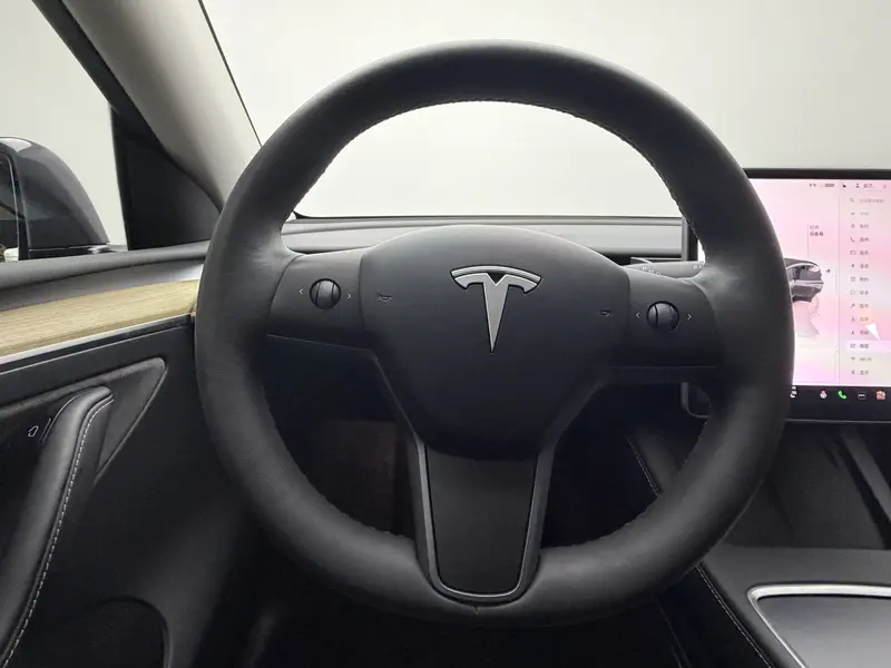 Tesla Model Y — фото 16