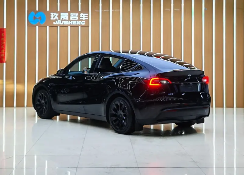 Tesla Model Y — фото 4
