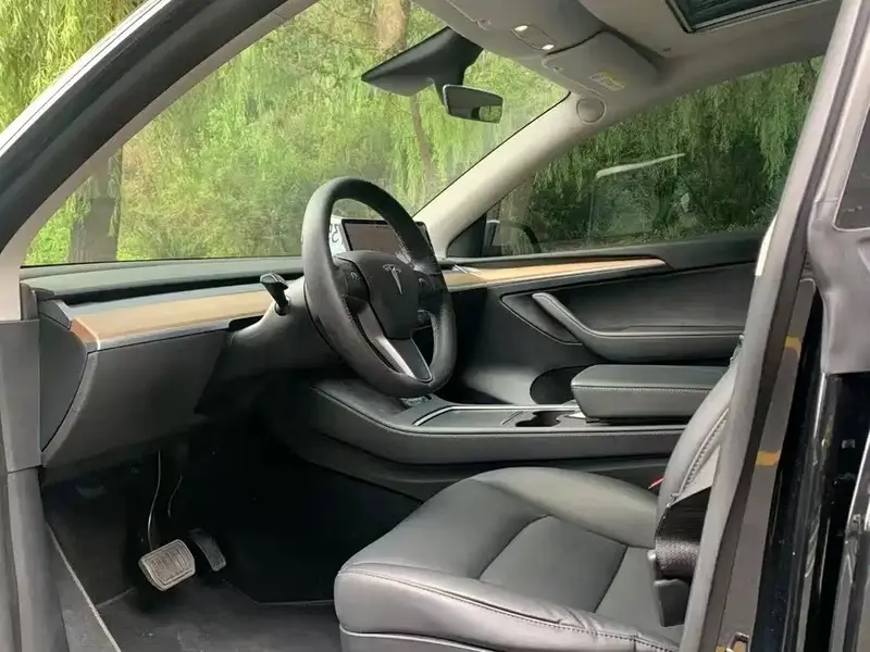 Tesla Model Y — фото 7